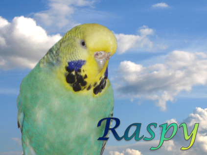 Raspy