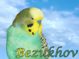RIP-rainbow-Bezukhov-page